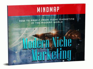 Modern Niche Marketing Guide – eBook
