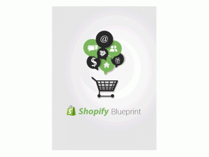 Shopify Blueprint – Video Series
